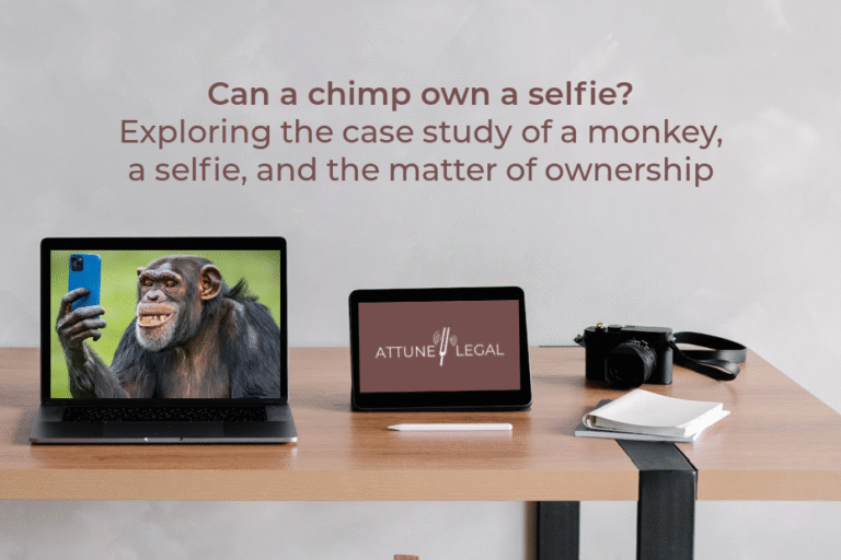 Text above a wooden desk with a laptop showing a chimpanzee selfie, a tablet displaying "ATTUNE LEGAL," and a camera with a notebook.